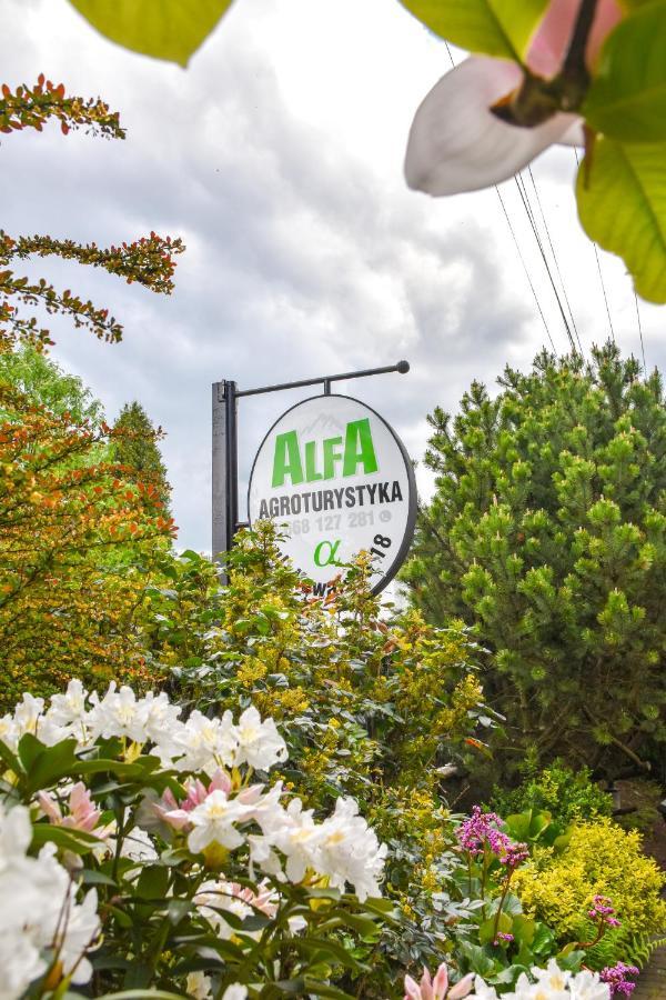 Agroturystyka Alfa Bystra  Экстерьер фото