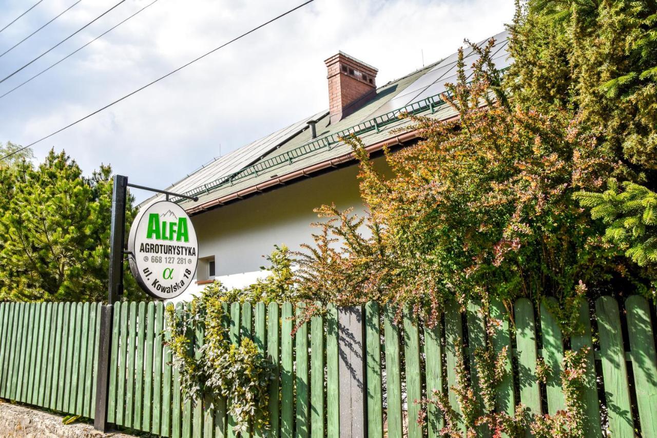 Agroturystyka Alfa Bystra  Экстерьер фото